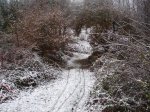 1-La nieve.JPG