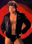 228011-david_hasselhoff_RED.jpg