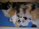DSCN1075.JPG