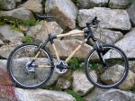 bamboobike.jpg