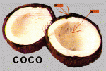 coco.gif