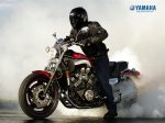 wallpaper_mcy_05_vmax_1024 (Medium).jpg