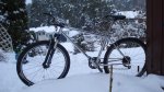 DSC01234.JPG