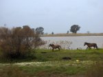 Imagen 029.jpg