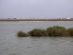 Imagen 044.jpg