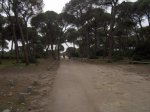 Imagen 058.jpg