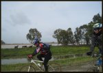 Caballos en el Guadalquivir 2.jpg