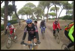 Por el pinar de la Algaida.jpg