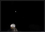 Luna%20Lunera (Small).jpg