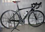 Madone 1.jpg