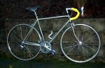 sunn rebell 600.jpg