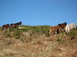 Terras de Montes 010.jpg