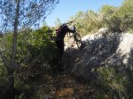 CIMG0088.jpg