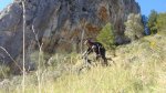 DSC00556-2.jpg