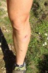 DSC00557-2.jpg