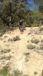 DSC00559-2.jpg