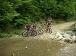 DSCN4380.jpg