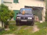 gato al calorcito.jpg