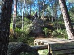 DSCN3620.jpg