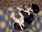 PICT0002.JPG
