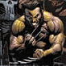 wolverine