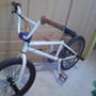 markelbmx