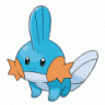 Mudkip