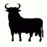 Black bull