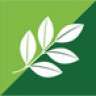 Team Nutrilite