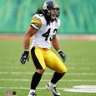 Polamalu