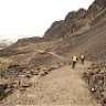 andean freerider