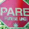 iruñabike