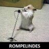 Rompelindes