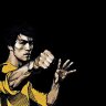 BruCeLee