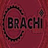 Goyo Brachi Bike