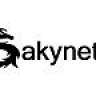 Sakynet