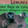 lemurdh