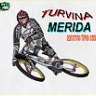 turvina