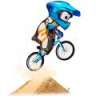 BMXer