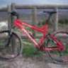 mtbspecialized